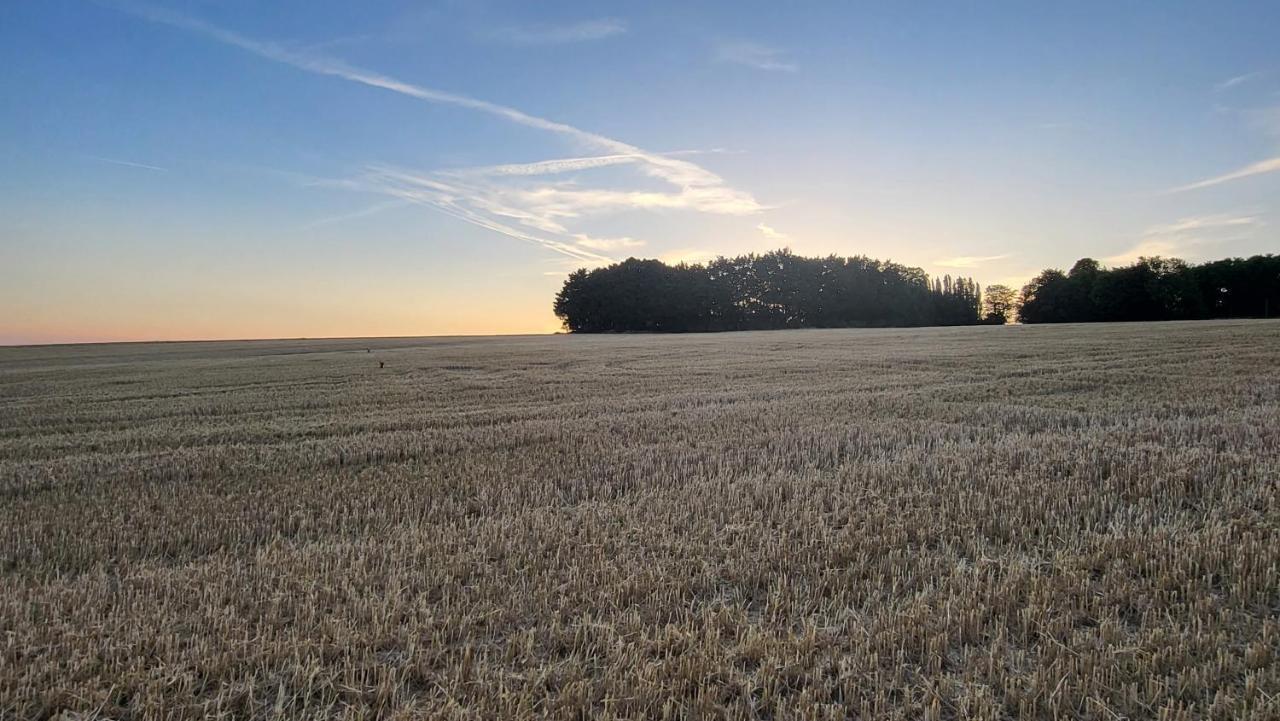 Gite De La Roulotte De L'Epine Dallon Exteriör bild